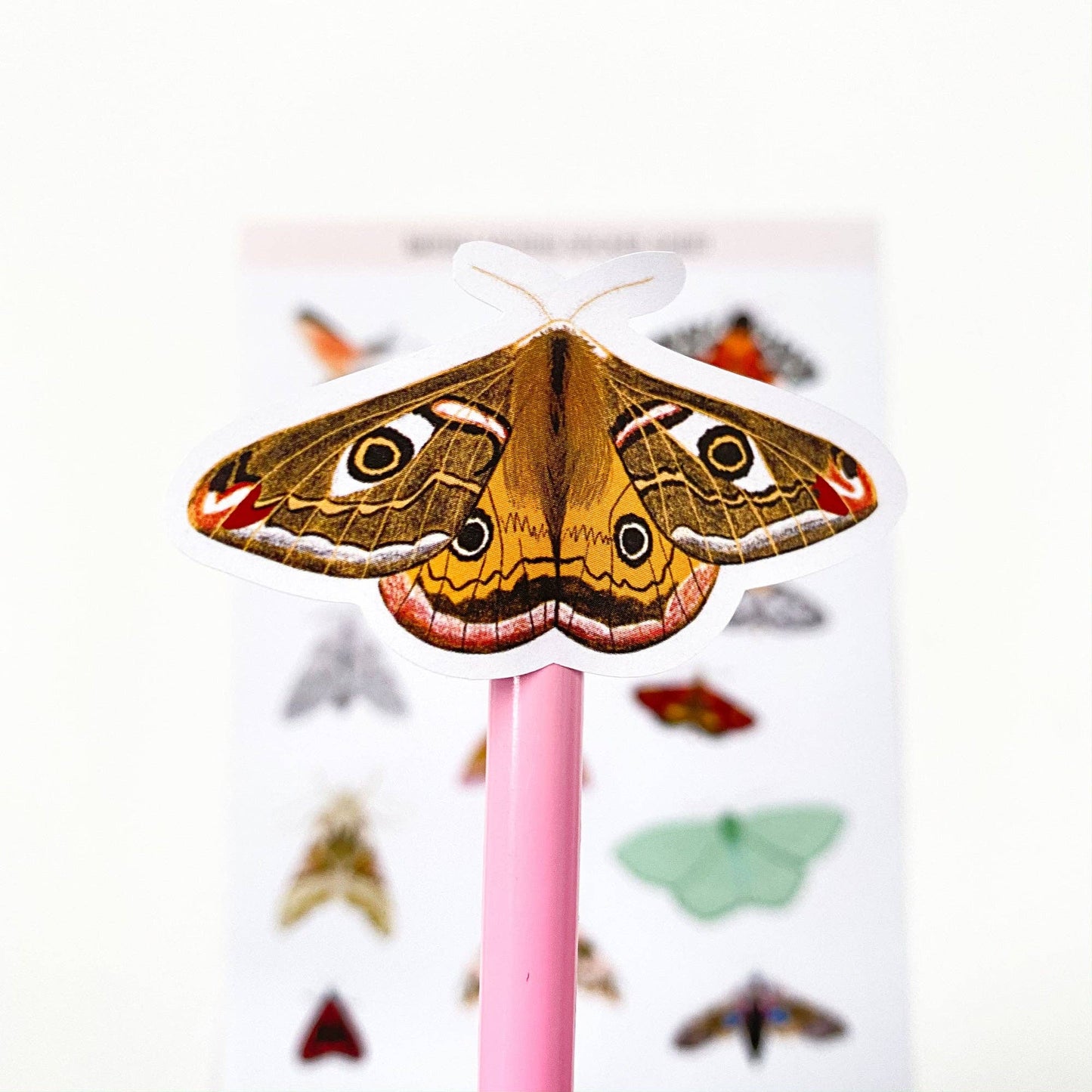 British moths sticker sheet – illustrated moth stickers for journals – Sarah Frances