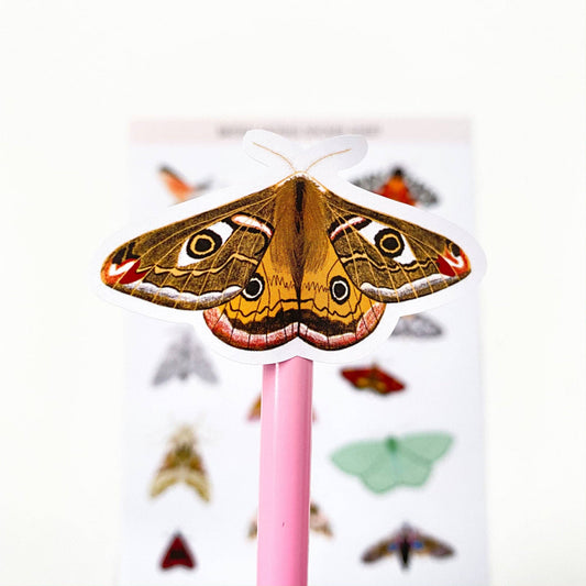 British moths sticker sheet – illustrated moth stickers for journals – Sarah Frances