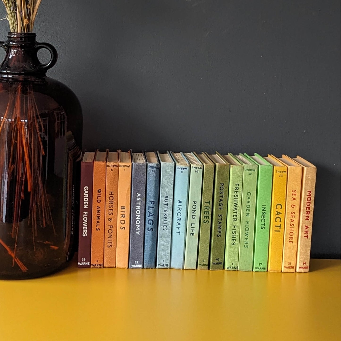 Vintage Observers Pocket-Sized Guides