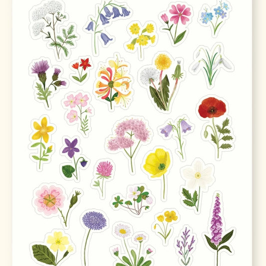 Wildflower sticker sheet – illustrated British wildflower stickers – Sarah Frances