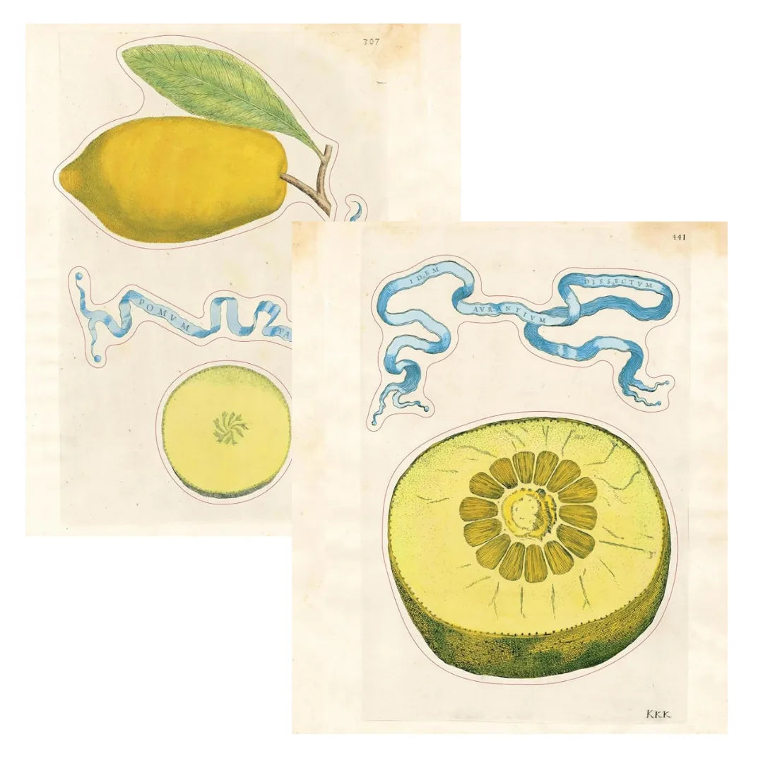 John Derian Sticker Book II - 800+ Stickers