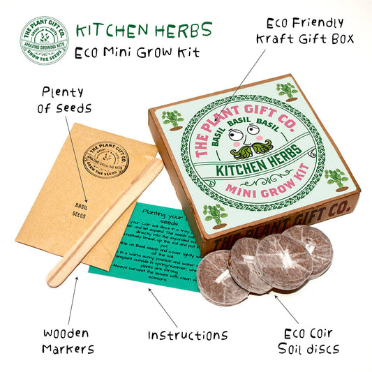 Plant Gift Co Kitchen Herbs Mini Grow Kit - Grow Kit - Subject to Change