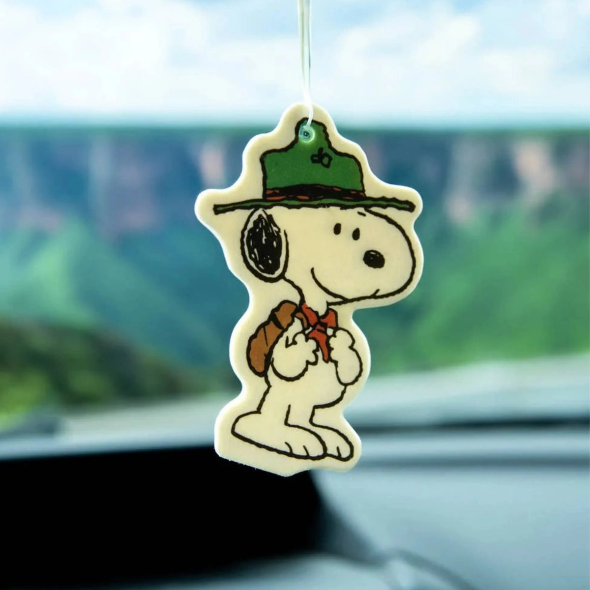 nostalgic snoopy peanuts socks