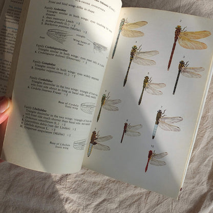 Vintage Field Guide - Insects of Britain and Northern Europe