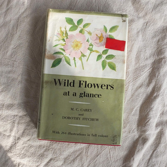 Vintage Botanical Guide Book - Wild Flowers at a Glance