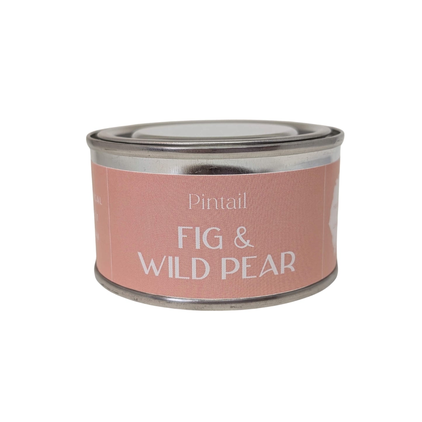 Fig & Wild Pear Candle in Paint Pot Tin