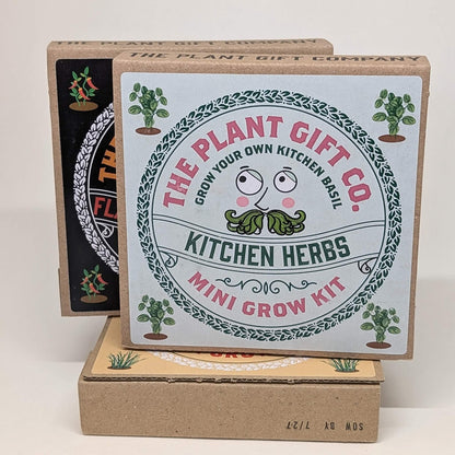 Grow Kitchen Herbs Mini Grow Kit