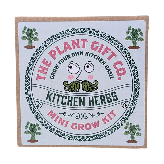 Grow Kitchen Herbs Mini Grow Kit