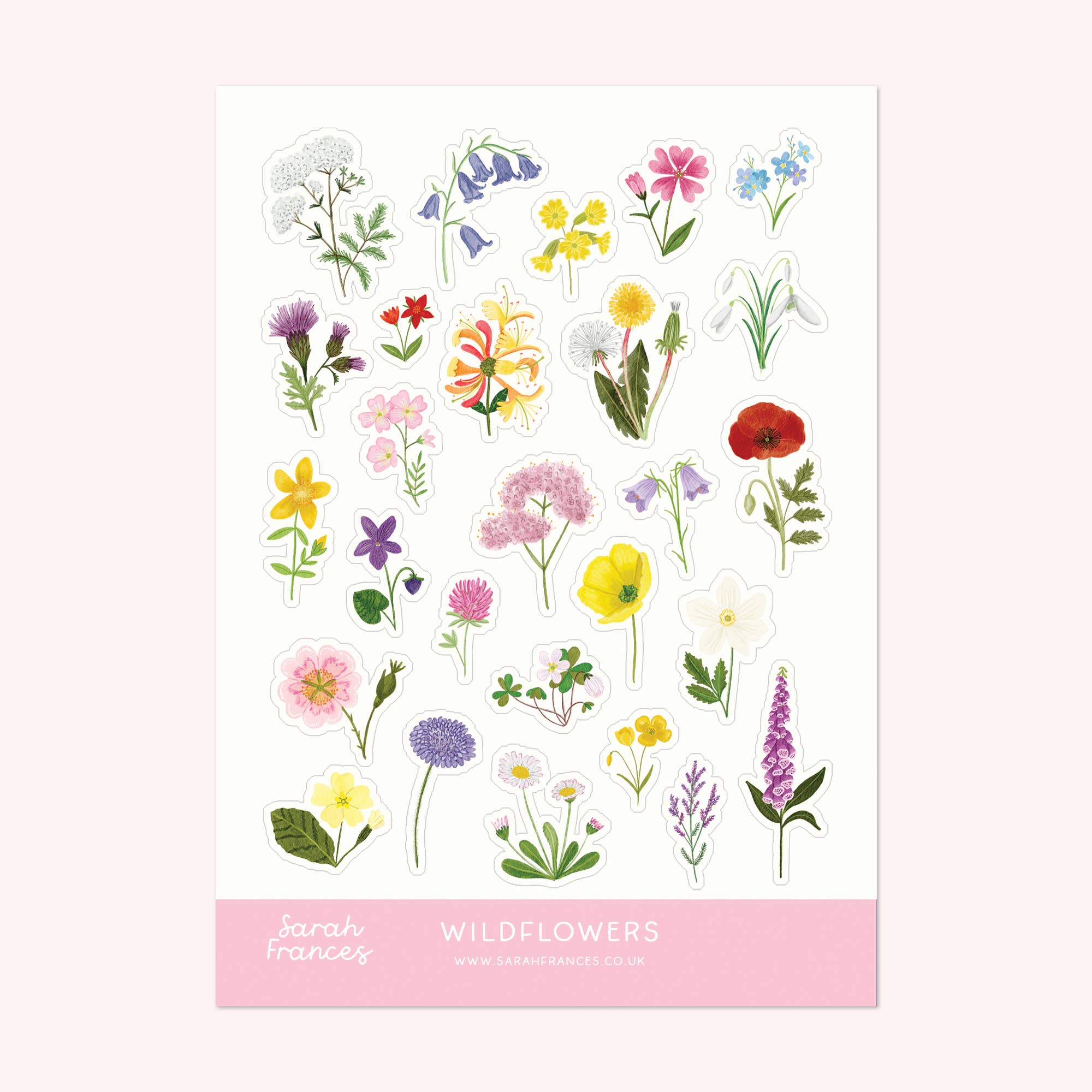 Wildflower Sticker Sheet
