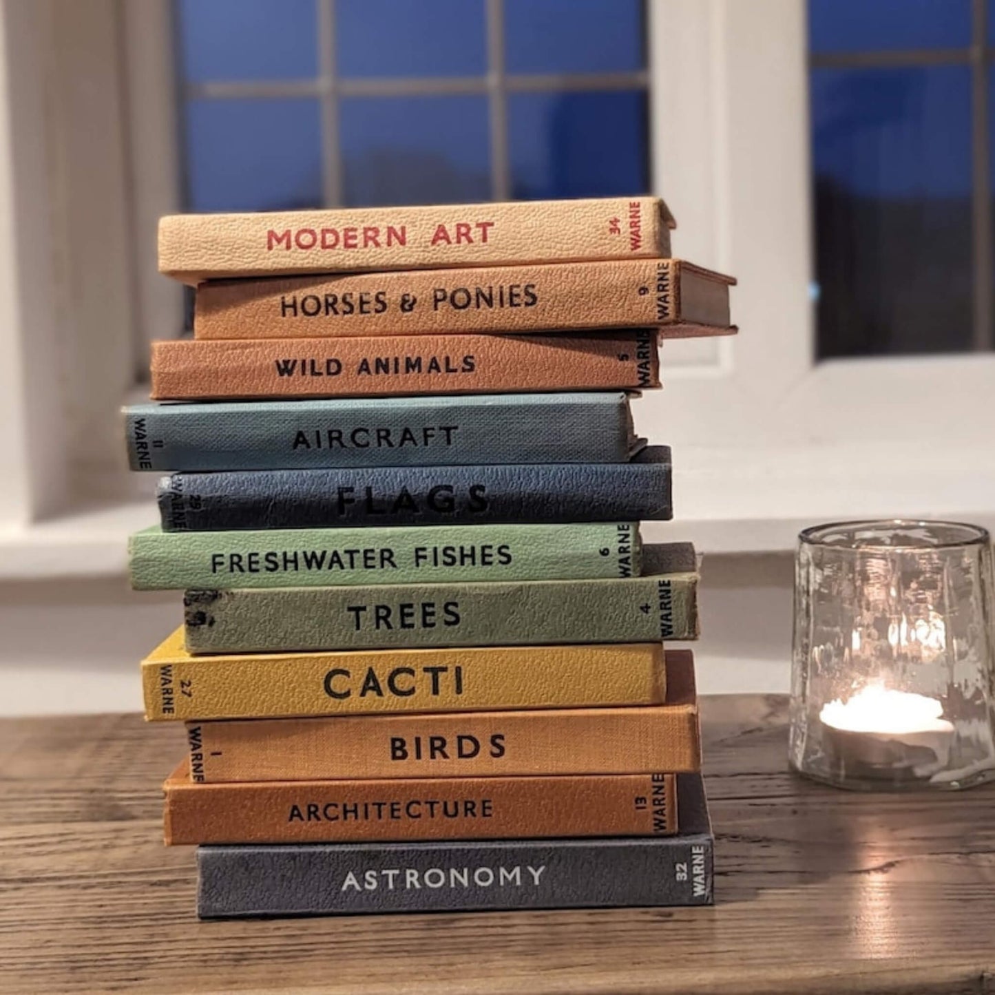 Vintage Observers Pocket-Sized Guides