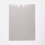 A3 giclée botanical art print