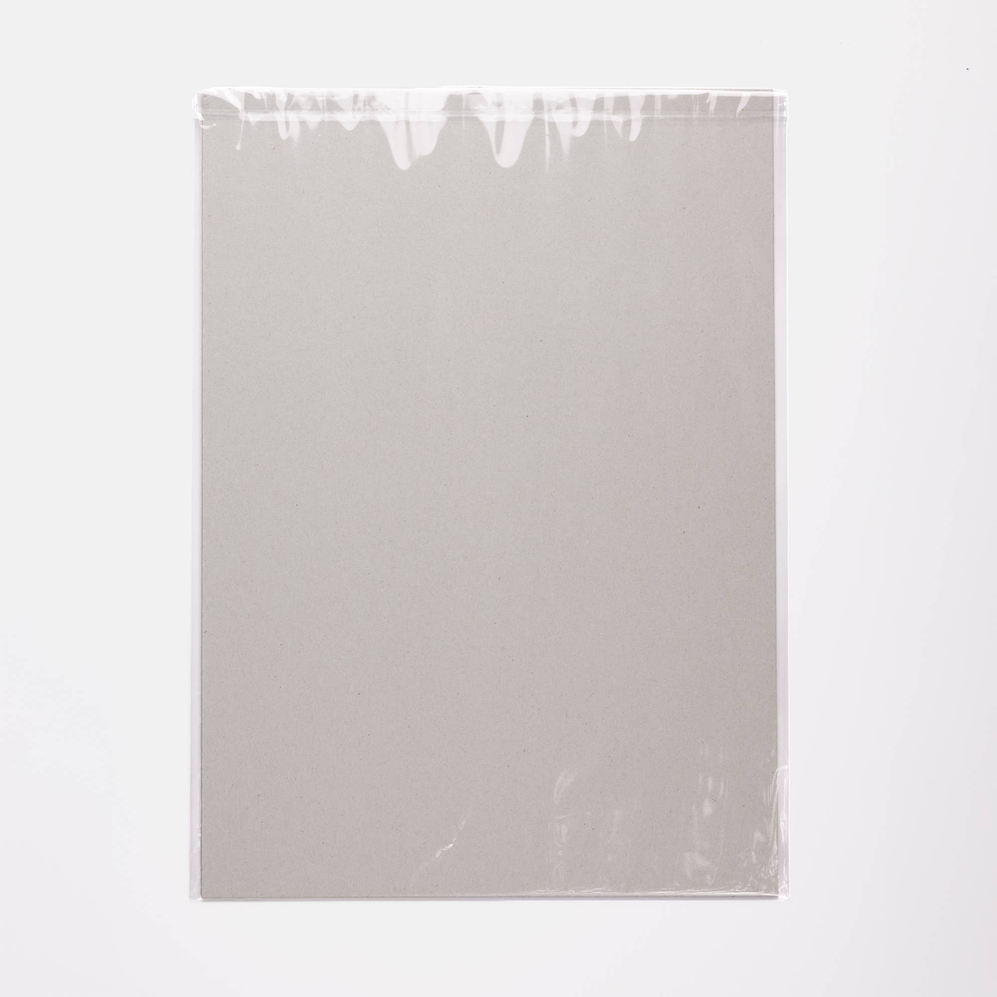 A3 giclée botanical art print