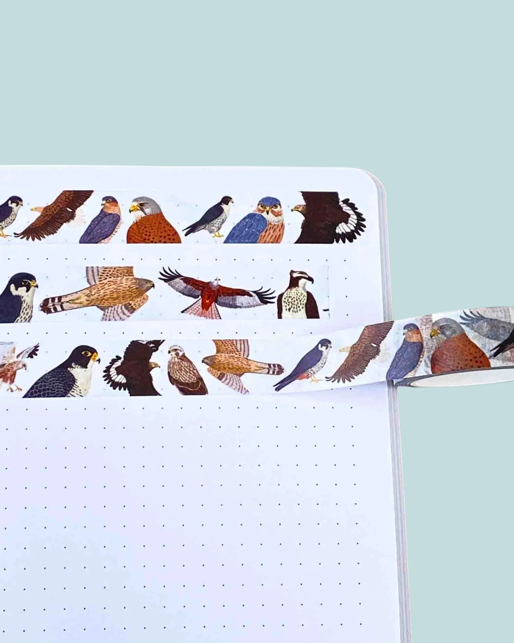 birds of prey illustrations on washi tape