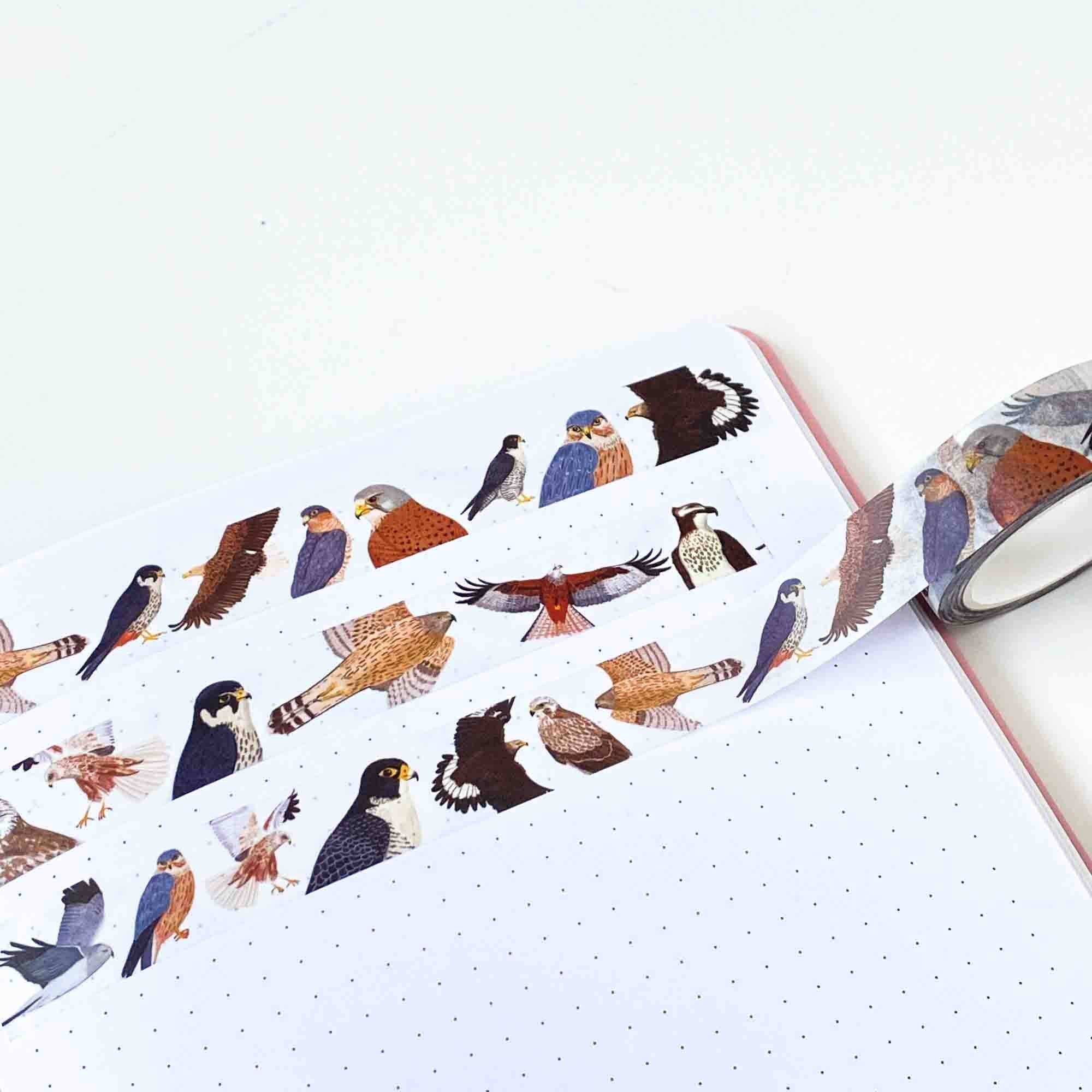 Birds of prey washi tape with detailed wildlife illustrations