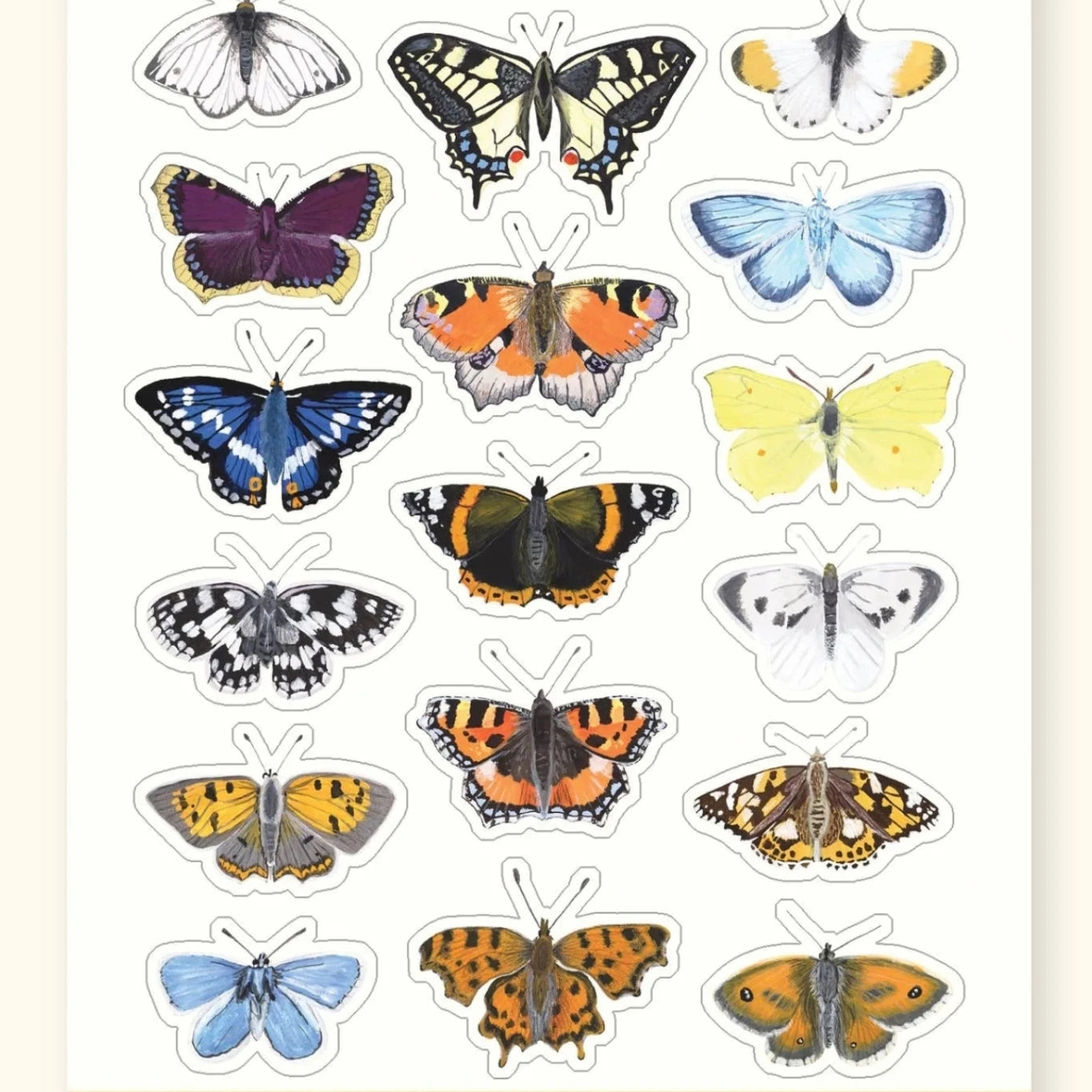 British butterfly sticker sheet – illustrated butterfly stickers for journals – Sarah Frances