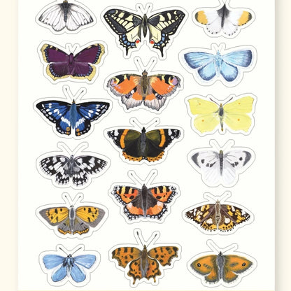British butterfly sticker sheet – illustrated butterfly stickers for journals – Sarah Frances