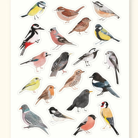 Garden birds sticker sheet – illustrated British garden bird stickers – Sarah Frances