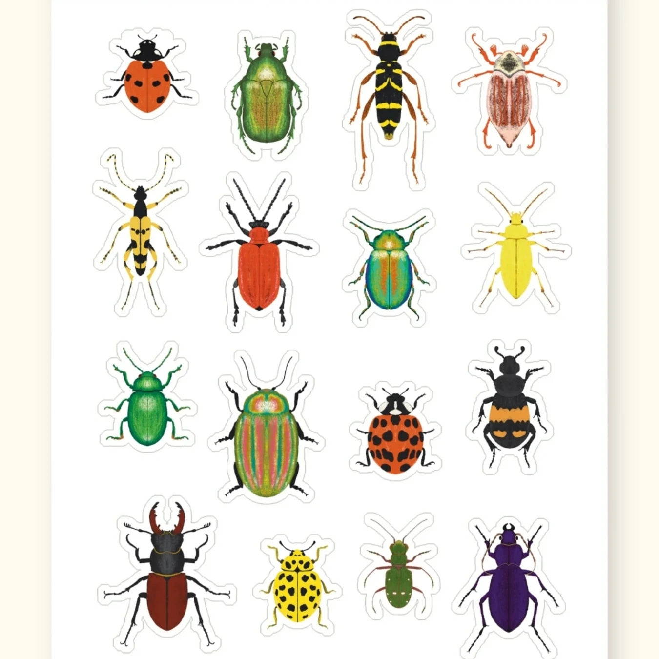 British beetles sticker sheet – illustrated beetle stickers – Sarah Frances