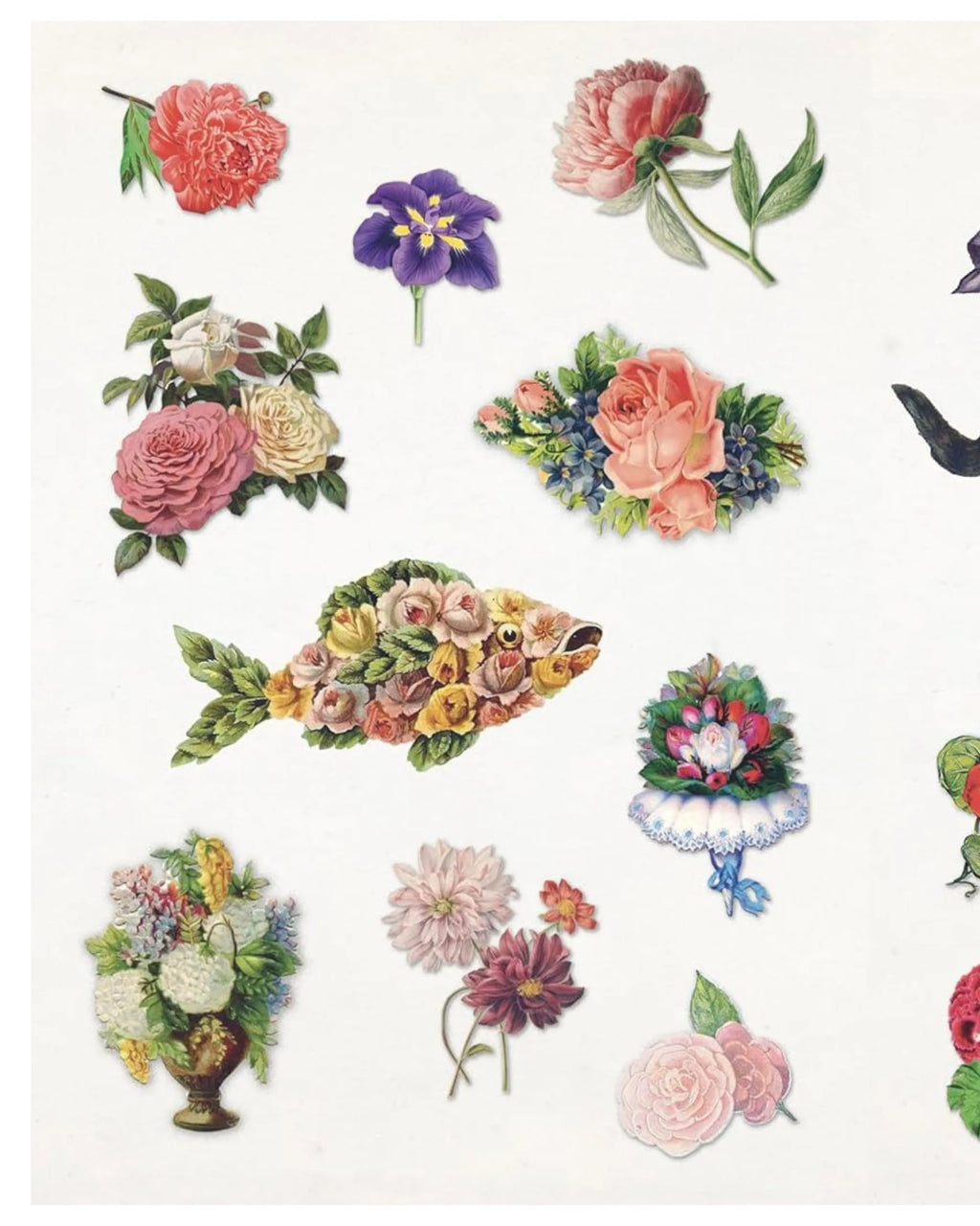 The Curious Collections Sticker Book