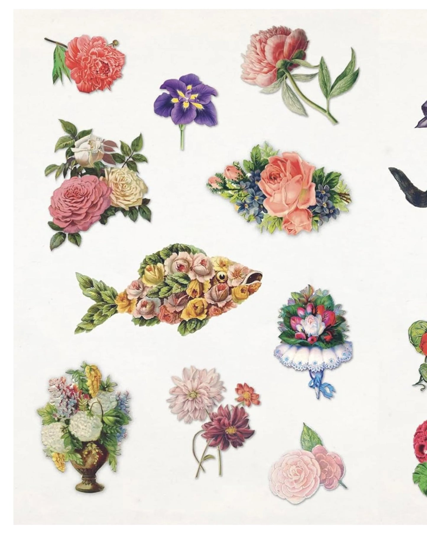 The Curious Collections illustrated sticker book