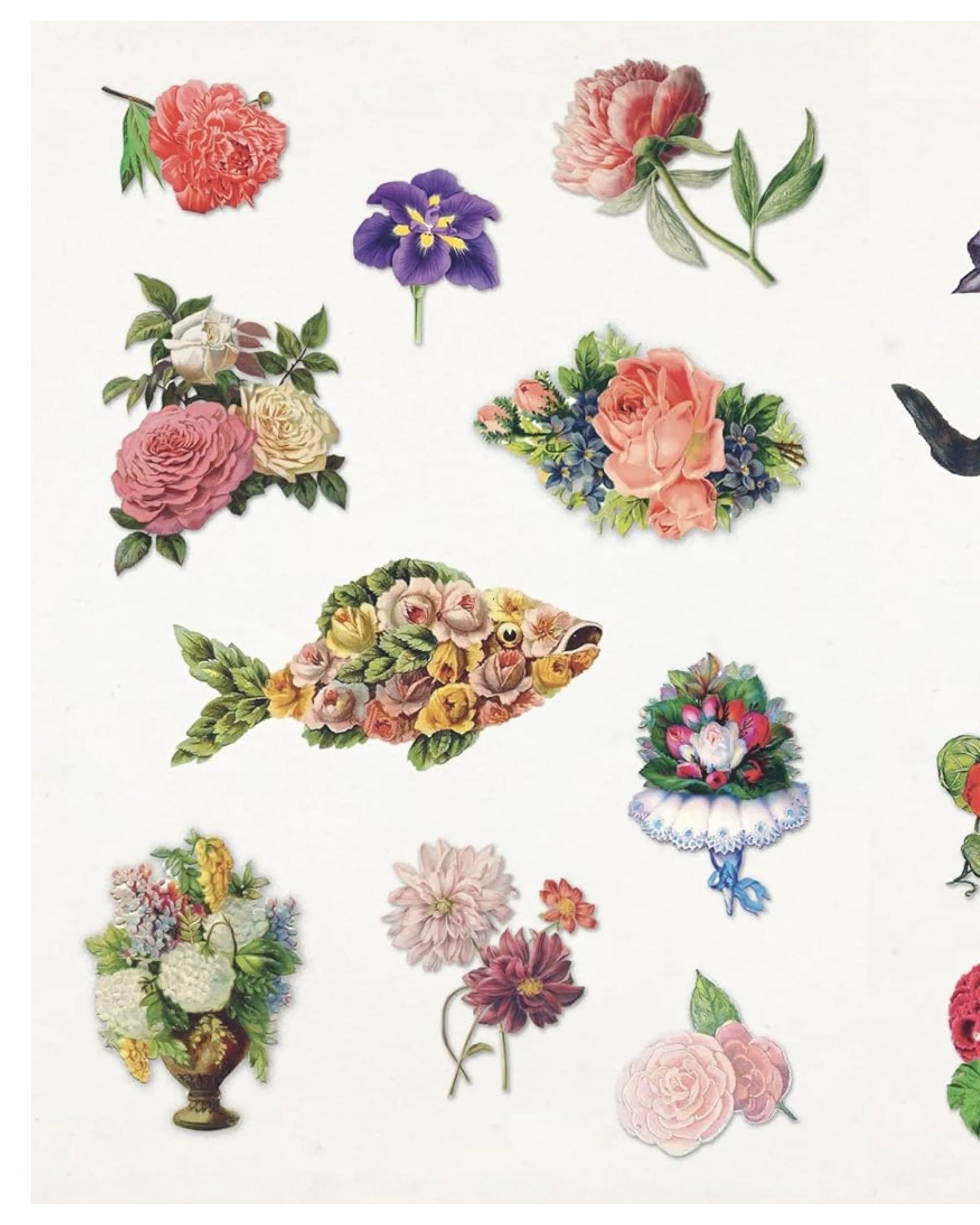 The Curious Collections Sticker Book
