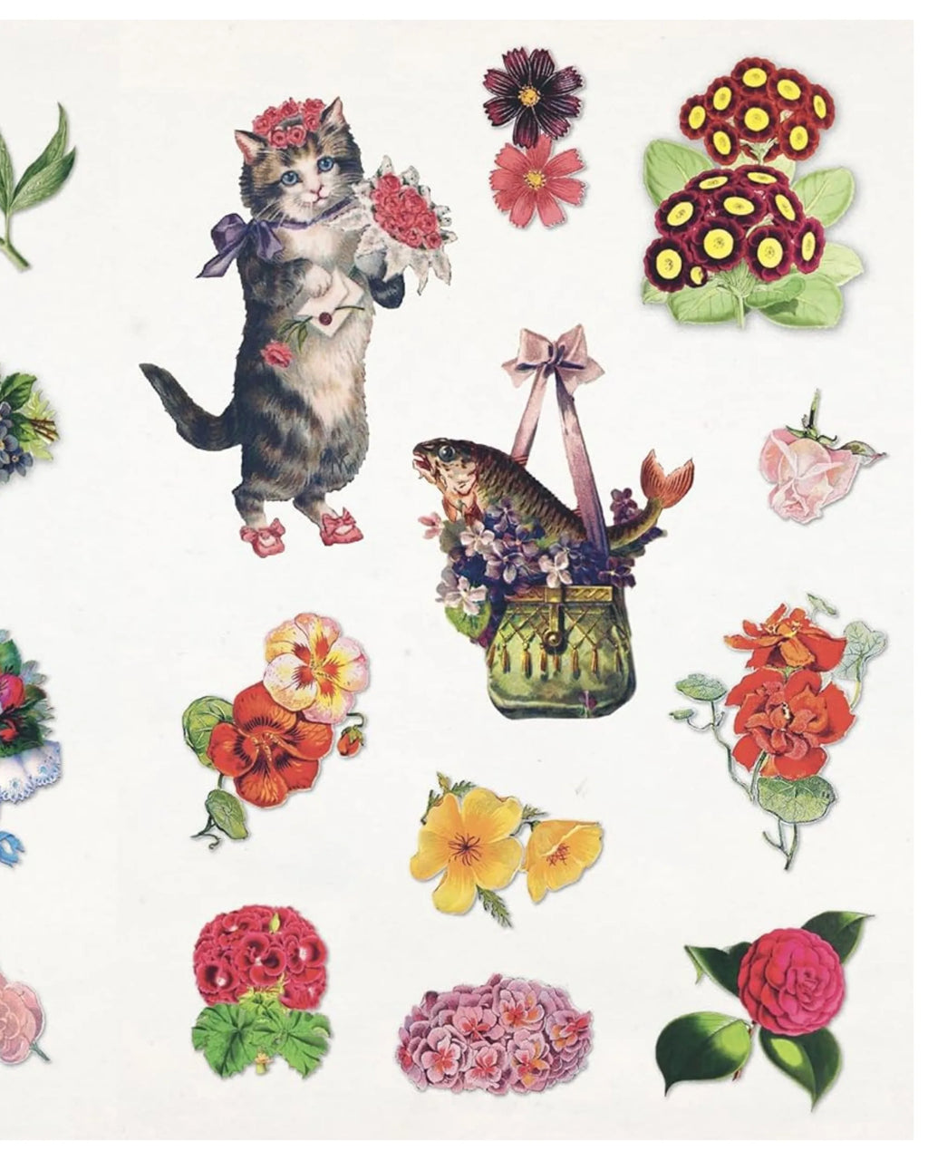 The Curious Collections Sticker Book