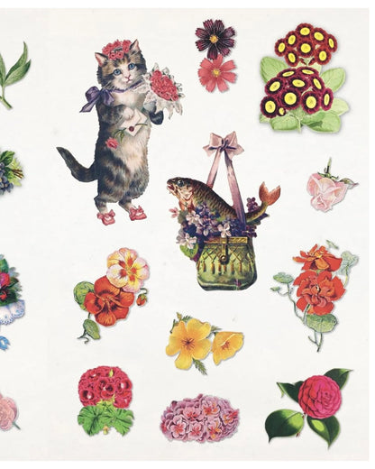 The Curious Collections illustrated sticker book