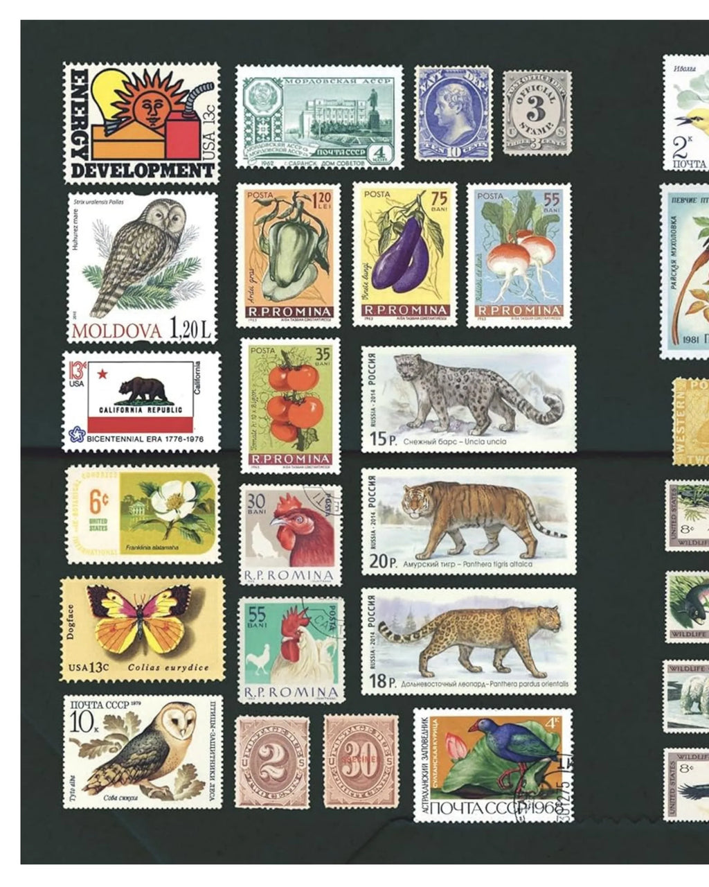 The Curious Collections Sticker Book