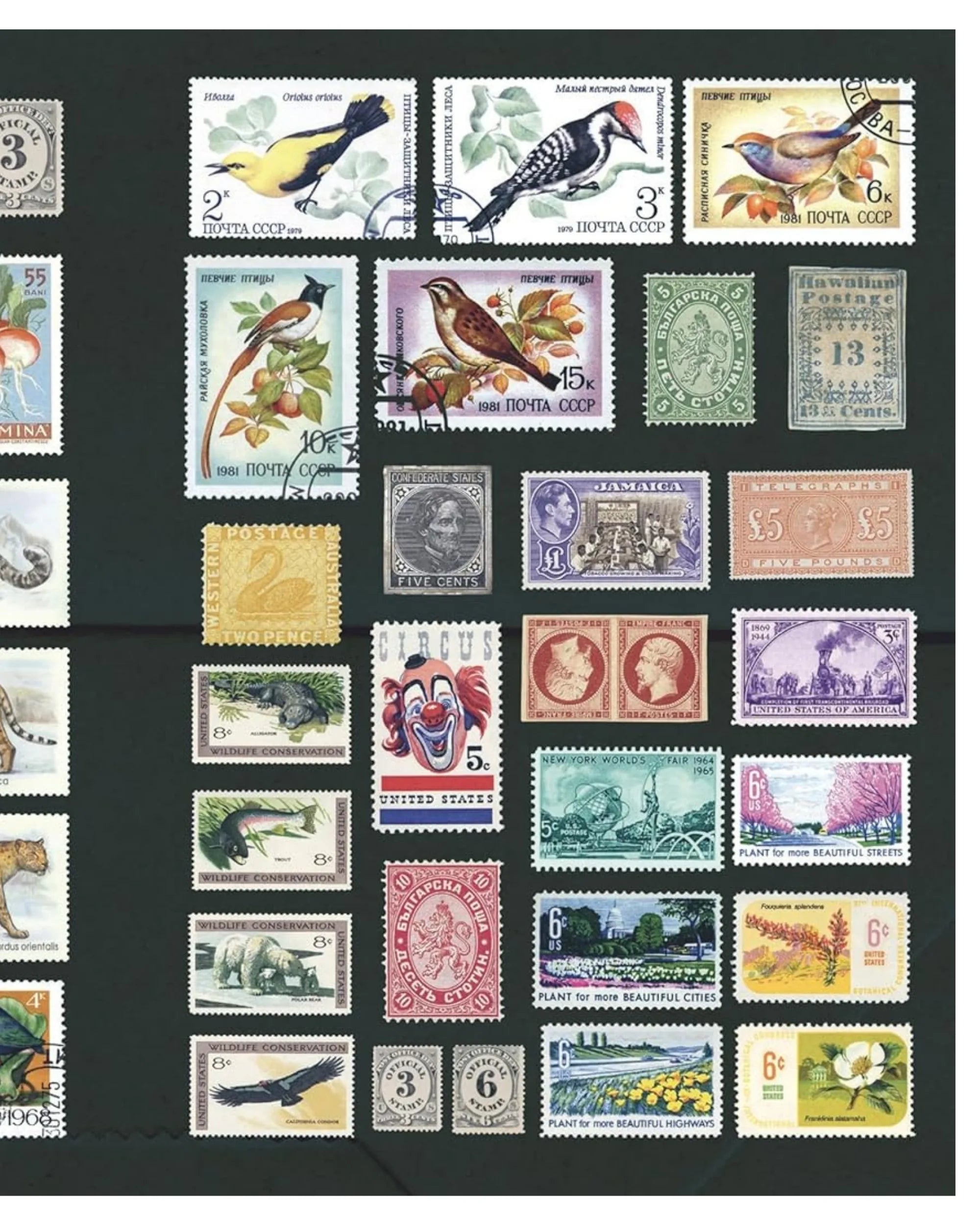 The Curious Collections Sticker Book