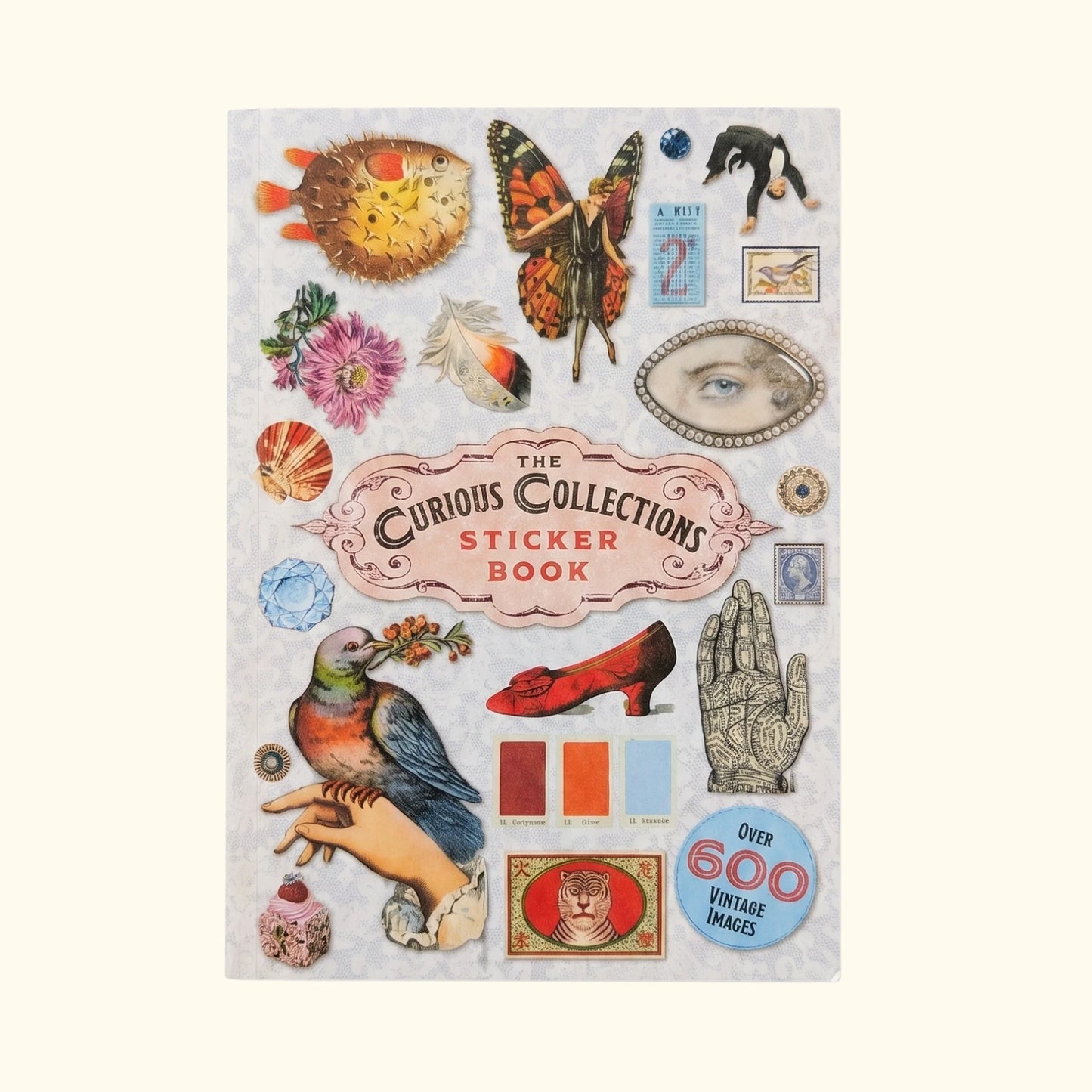 The Curious Collections illustrated sticker book