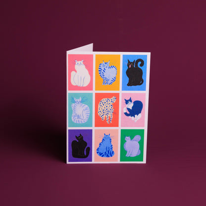 Cat greeting card from Evermade