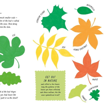 Drawn by Nature: Patterns by Emily Rand