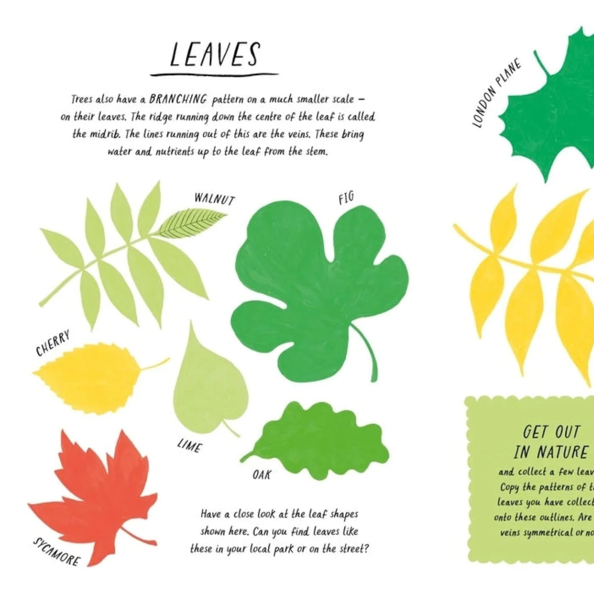 Drawn by Nature: Patterns by Emily Rand