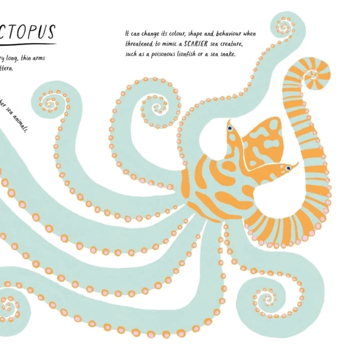 Drawn by Nature: Patterns by Emily Rand