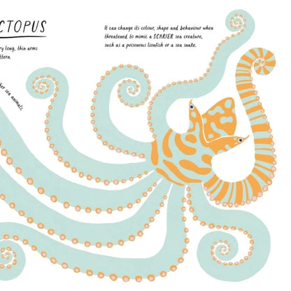 Drawn by Nature: Patterns by Emily Rand