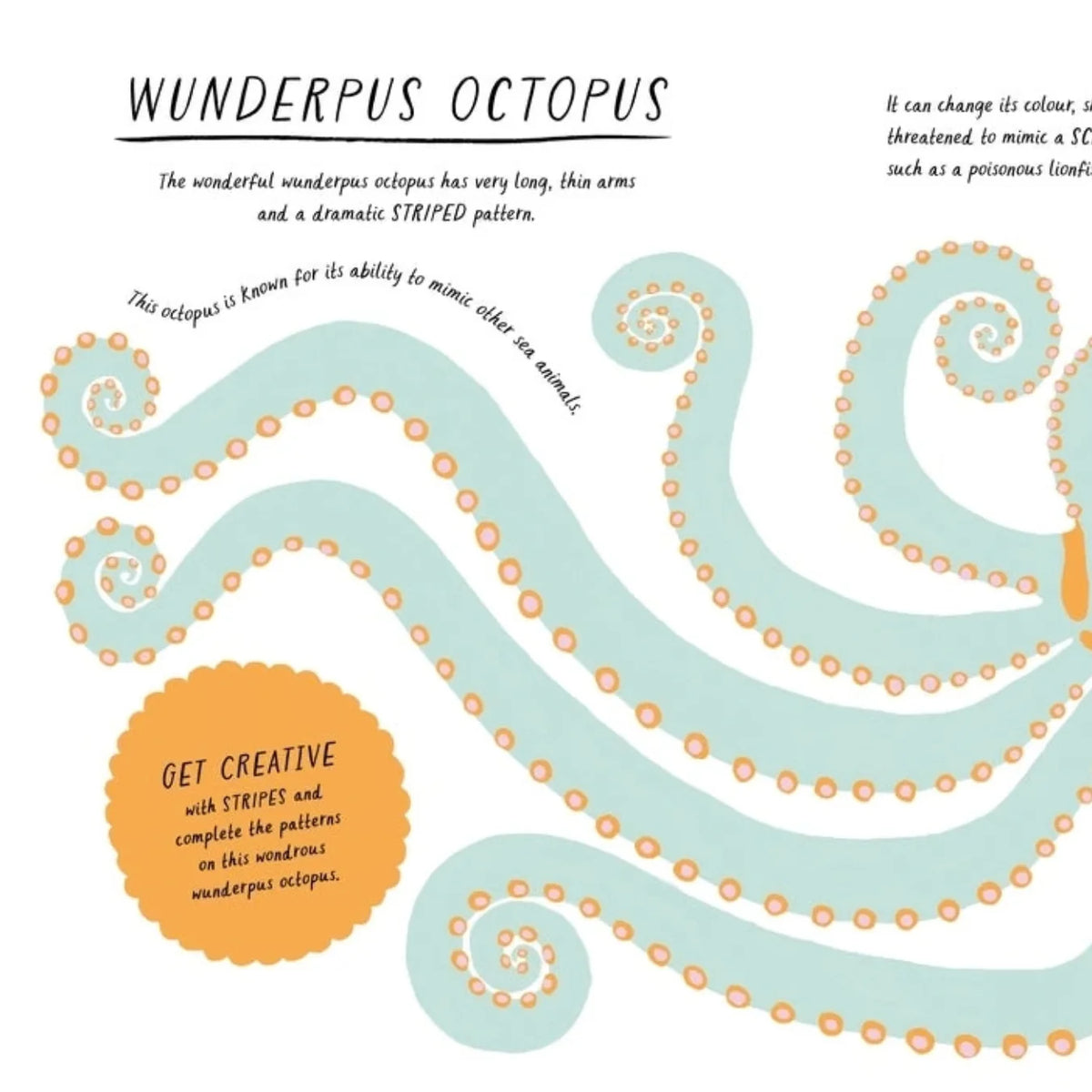 Drawn by Nature: Patterns by Emily Rand