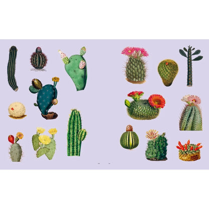 Extraordinary Things Sticker Book - 500+ Stickers