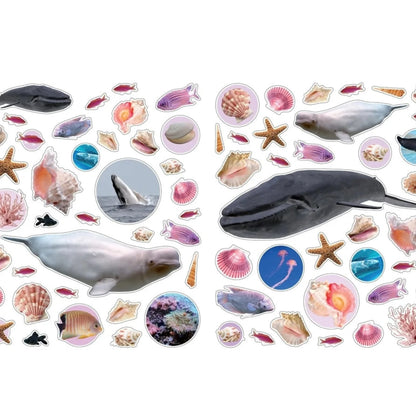 Eyelike Sticker Book: Ocean - 400+ Stickers