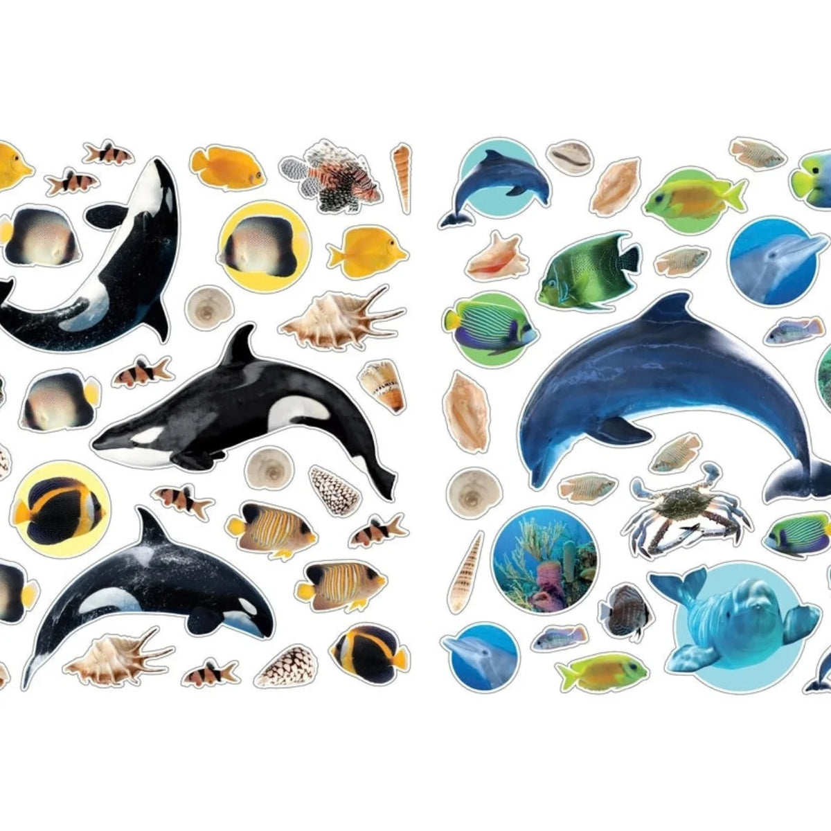 Eyelike Sticker Book: Ocean - 400+ Stickers