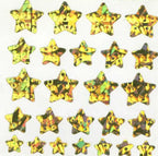 Holographic Gold Star Mini Sticker Sheet