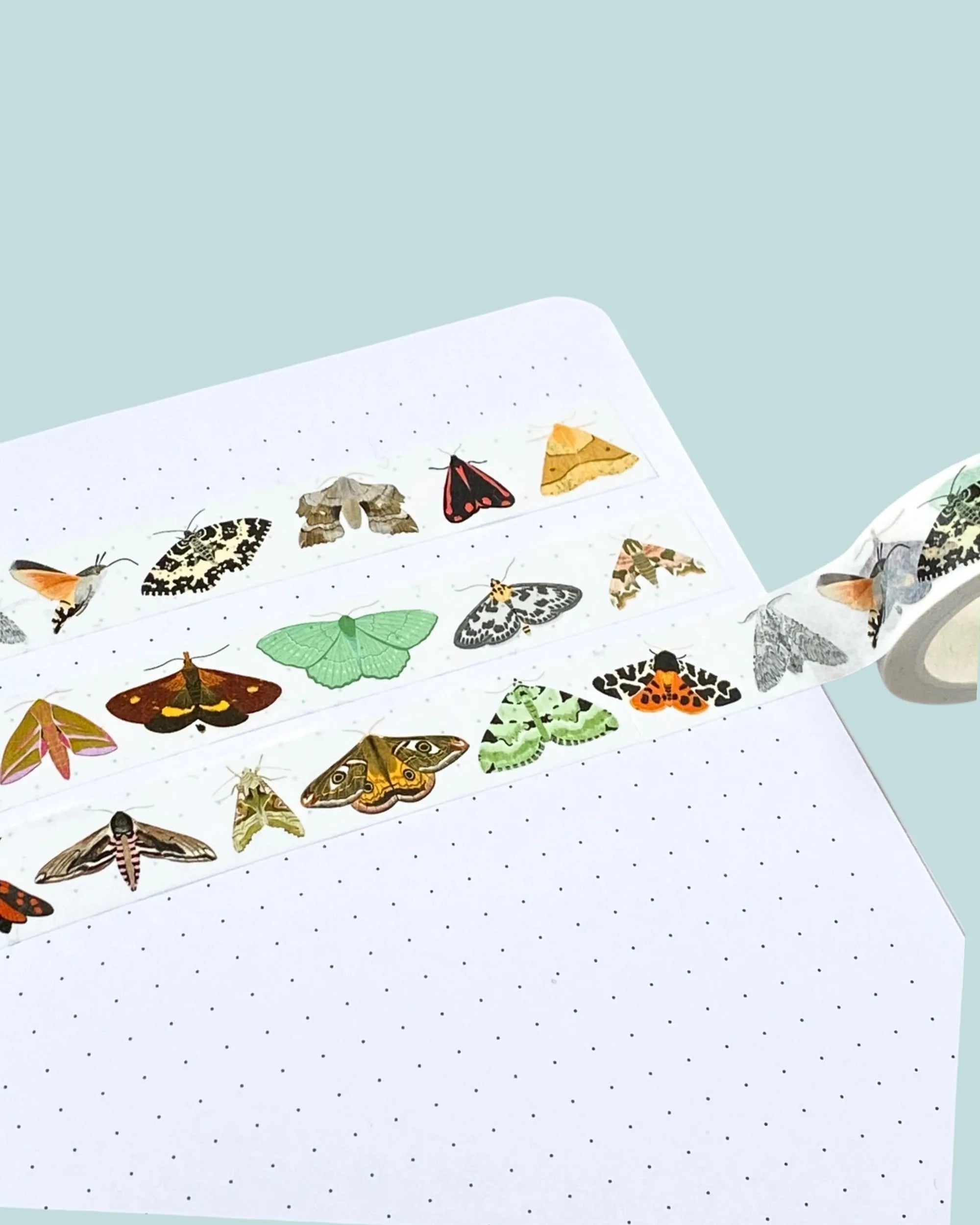 washi tape with design of illustrated british moths