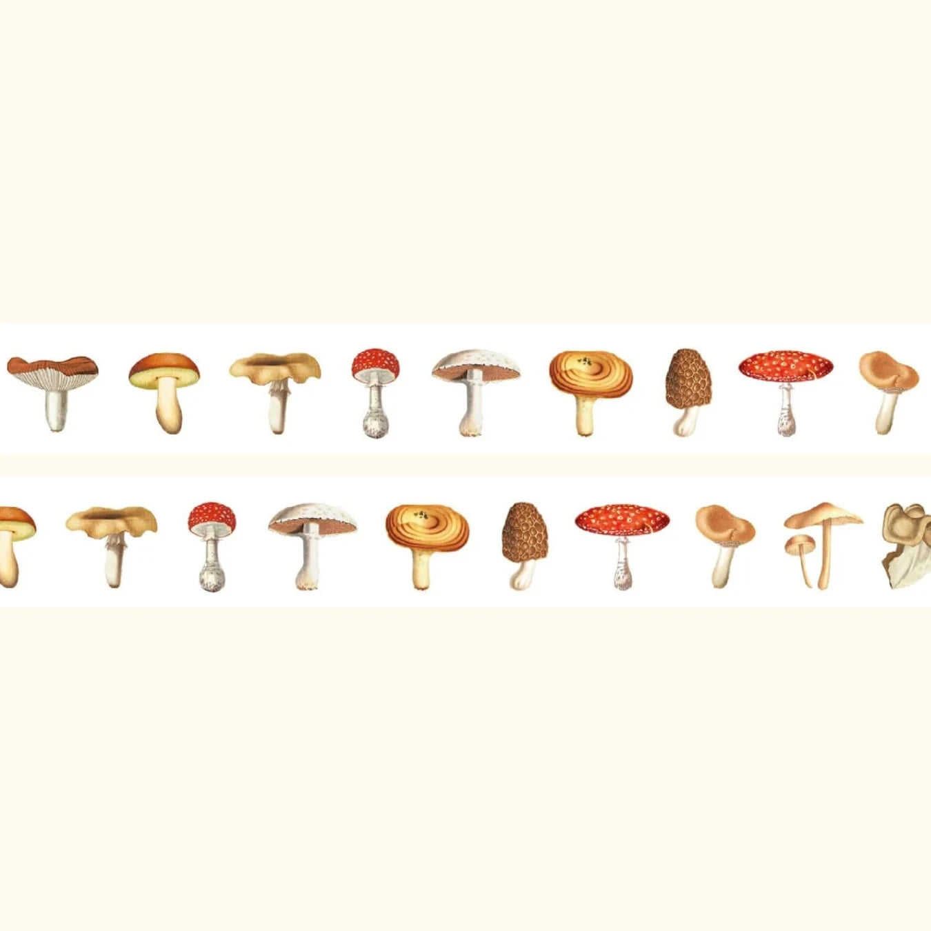 mt 15mm washi tape, mushroom design