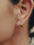 gold double hoop earrings