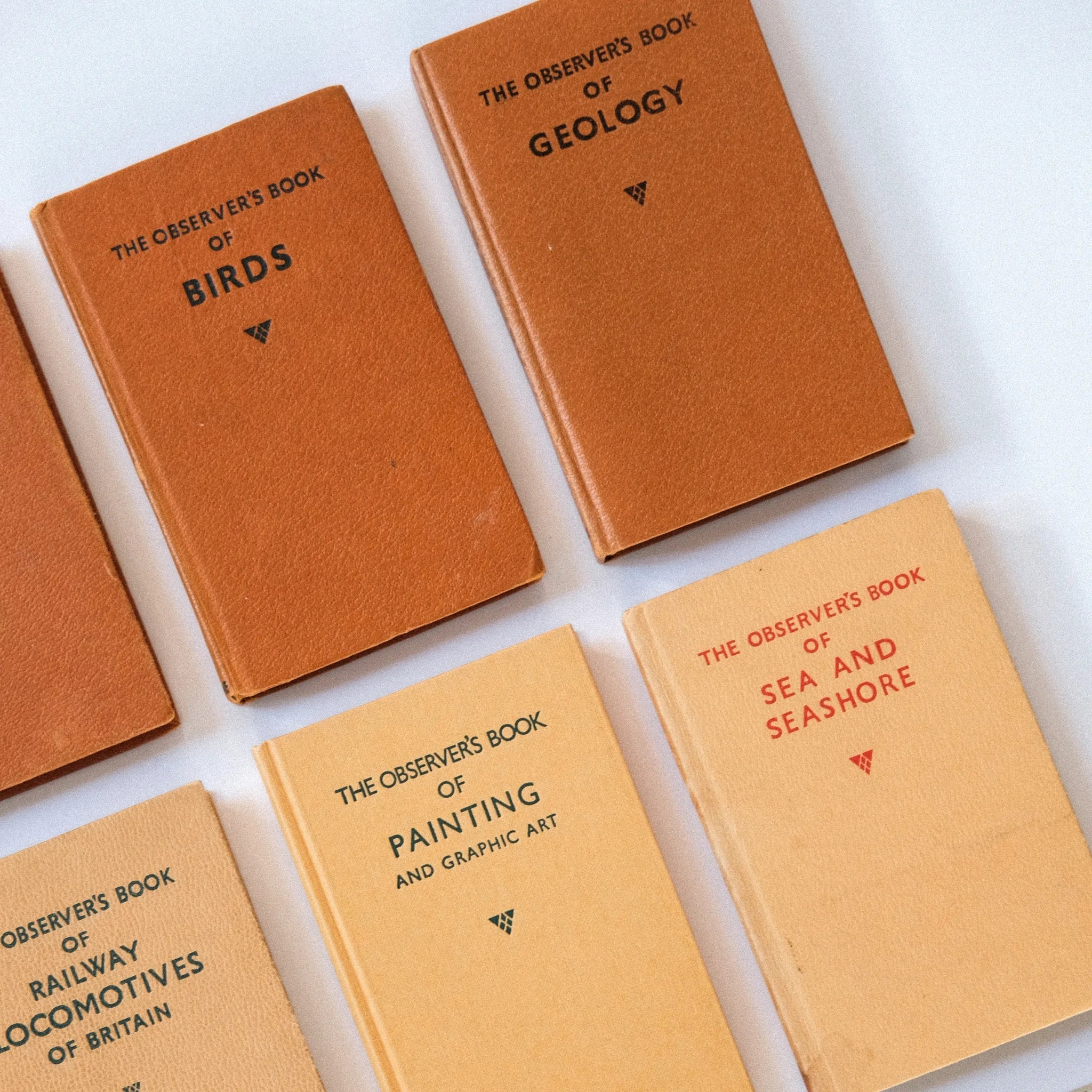 Collection of vintage books titled 'The Observer's Book of Birds', 'Geology', 'Painting and Graphic Art', and 'Sea and Seashore' on a white background.