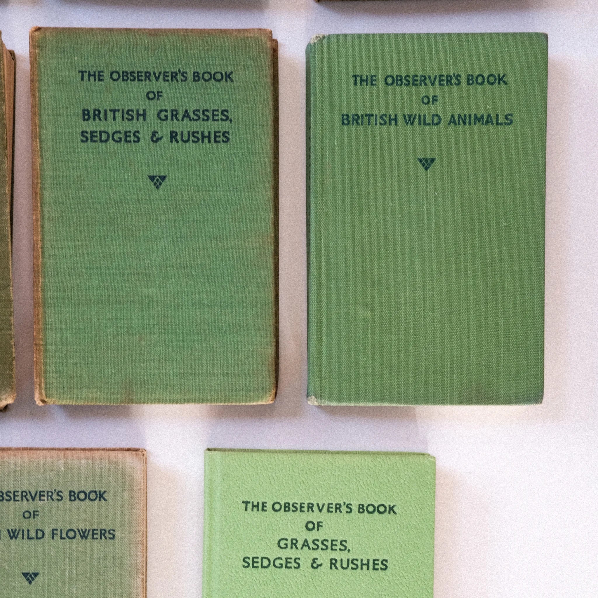 Collection of green books titled 'The Observer's Book' on a white background