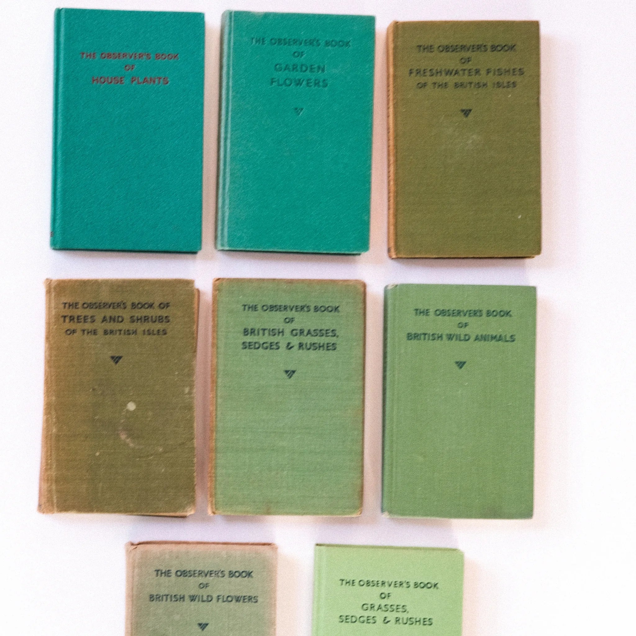 Collection of vintage green books on a white background