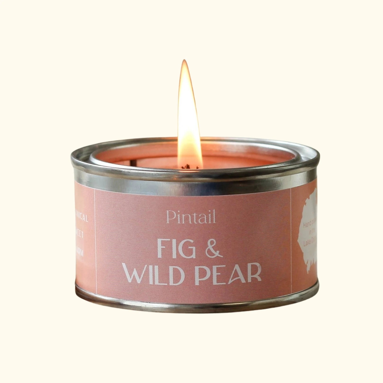 Fig and wild pear scented candle