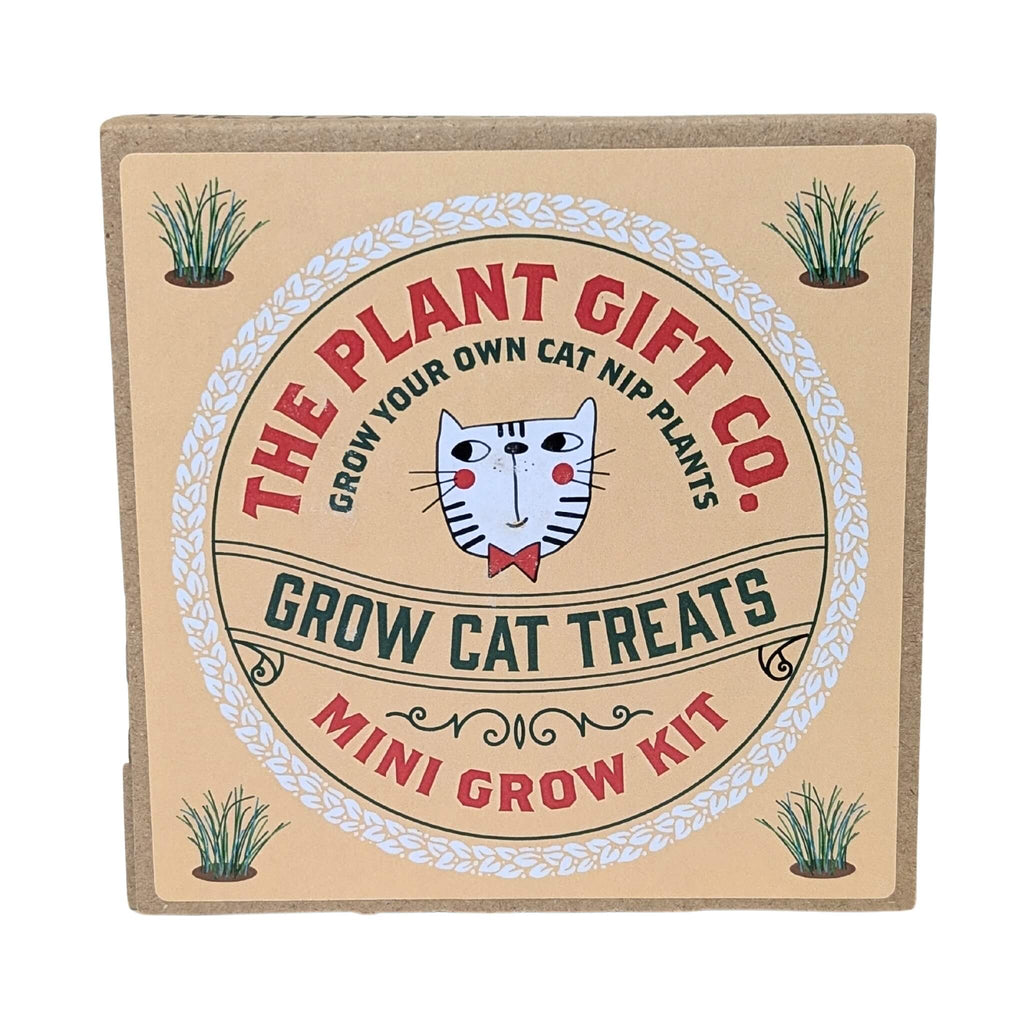 Plant Gift Co Cat Treats Eco Mini Grow Kit - Grow Kit - Subject to Change