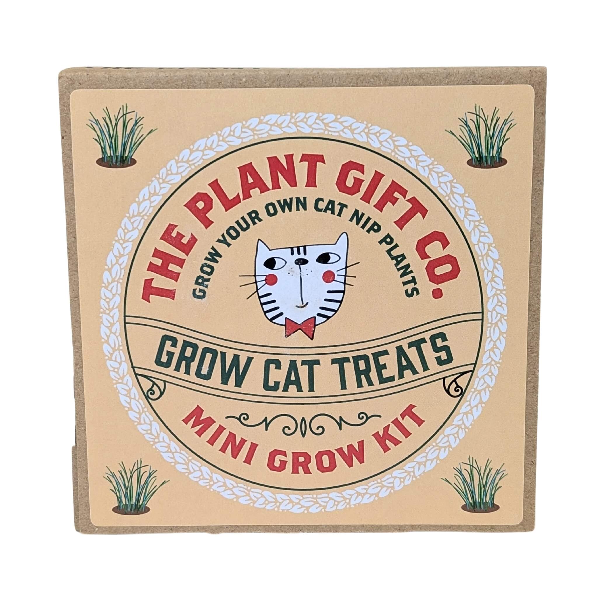Plant Gift Co Cat Treats Eco Mini Grow Kit - Grow Kit - Subject to Change