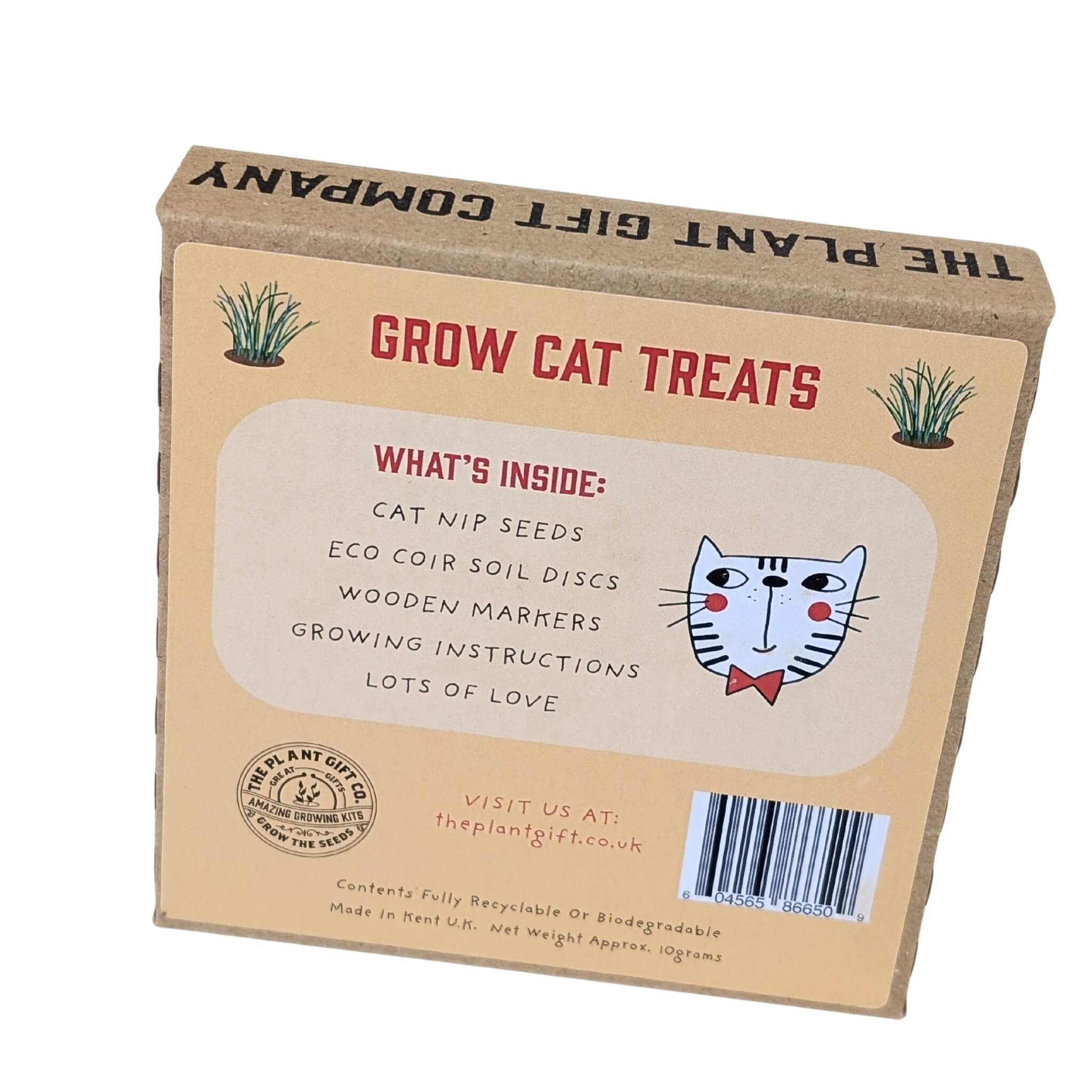 Plant Gift Co Cat Treats Eco Mini Grow Kit - Grow Kit - Subject to Change